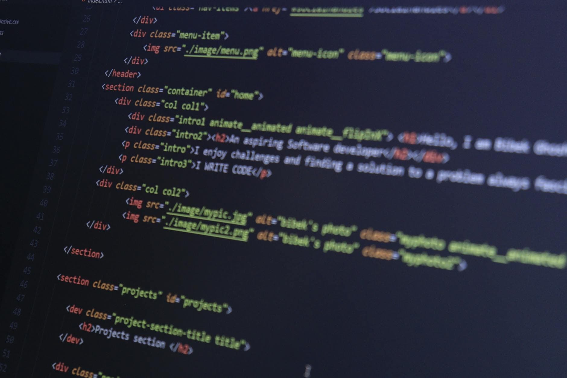 WordPress SEO